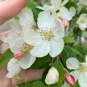 Meet your Posher, Mara